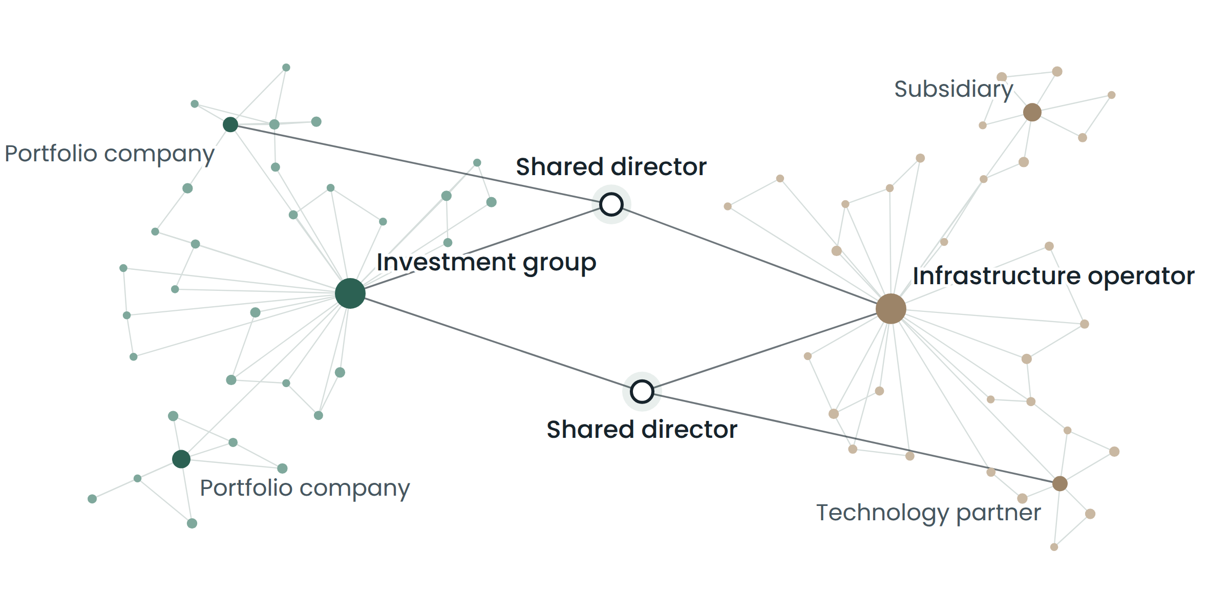 Network map showing two groups of organisations linked through two shared directors.